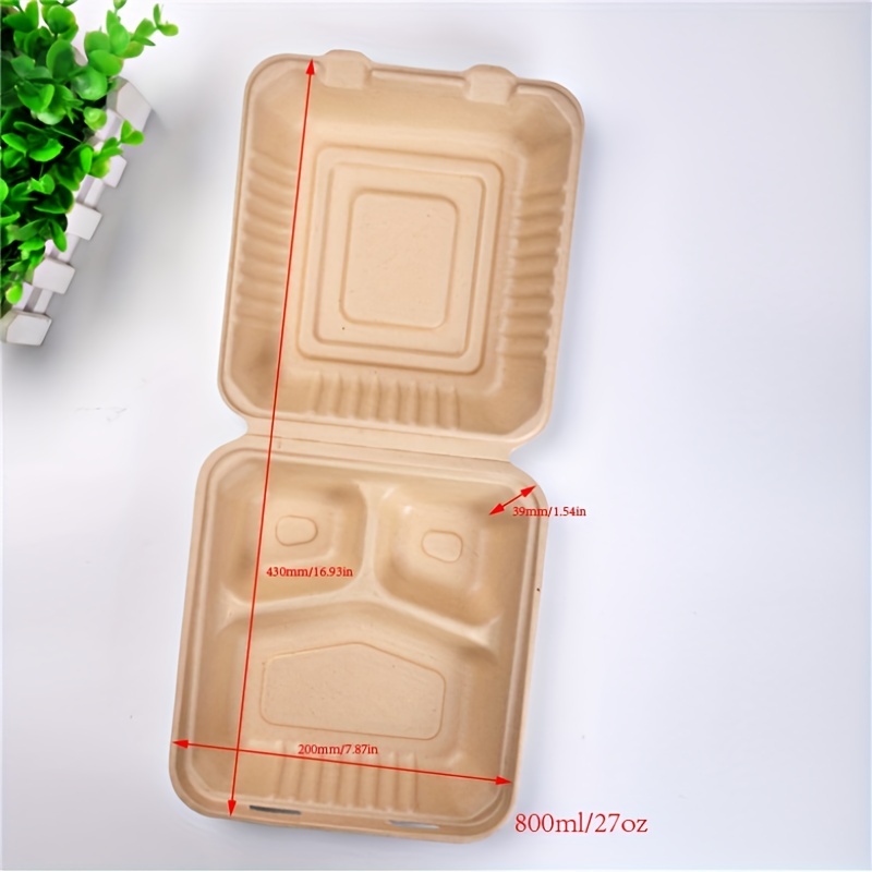 Disposable Packaging Boxes Tiger Pattern Takeaway Lunch Box - Temu