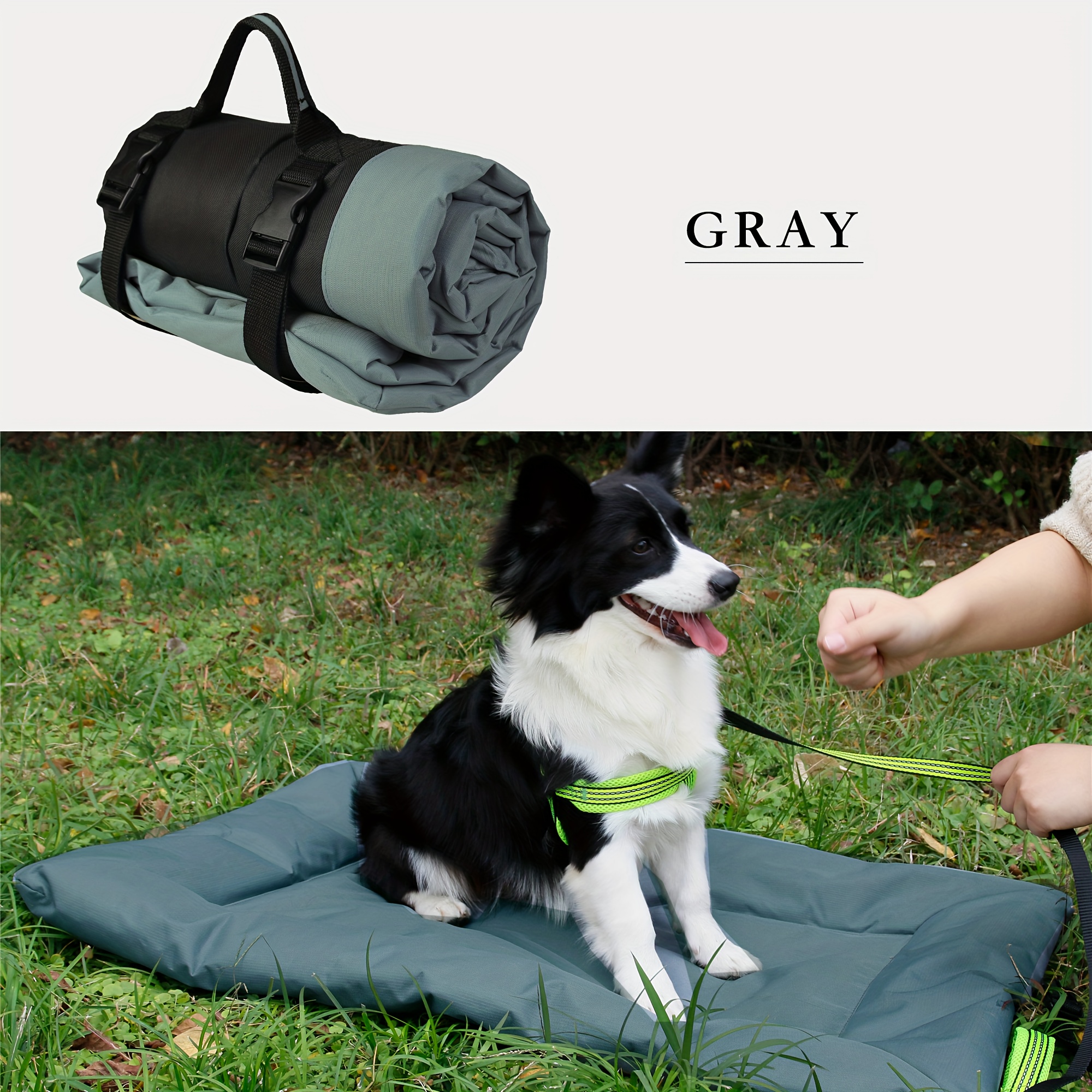 All for paws 2024 dog camp mat