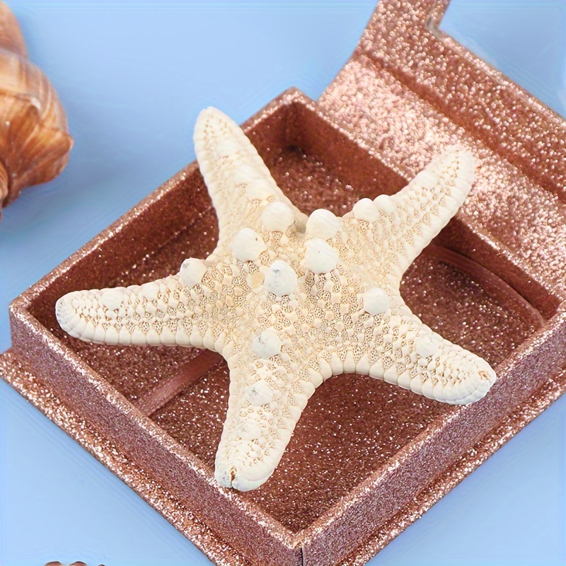 1pc Colección Adornos Estrellas Mar Naturales Decoración - Temu Chile