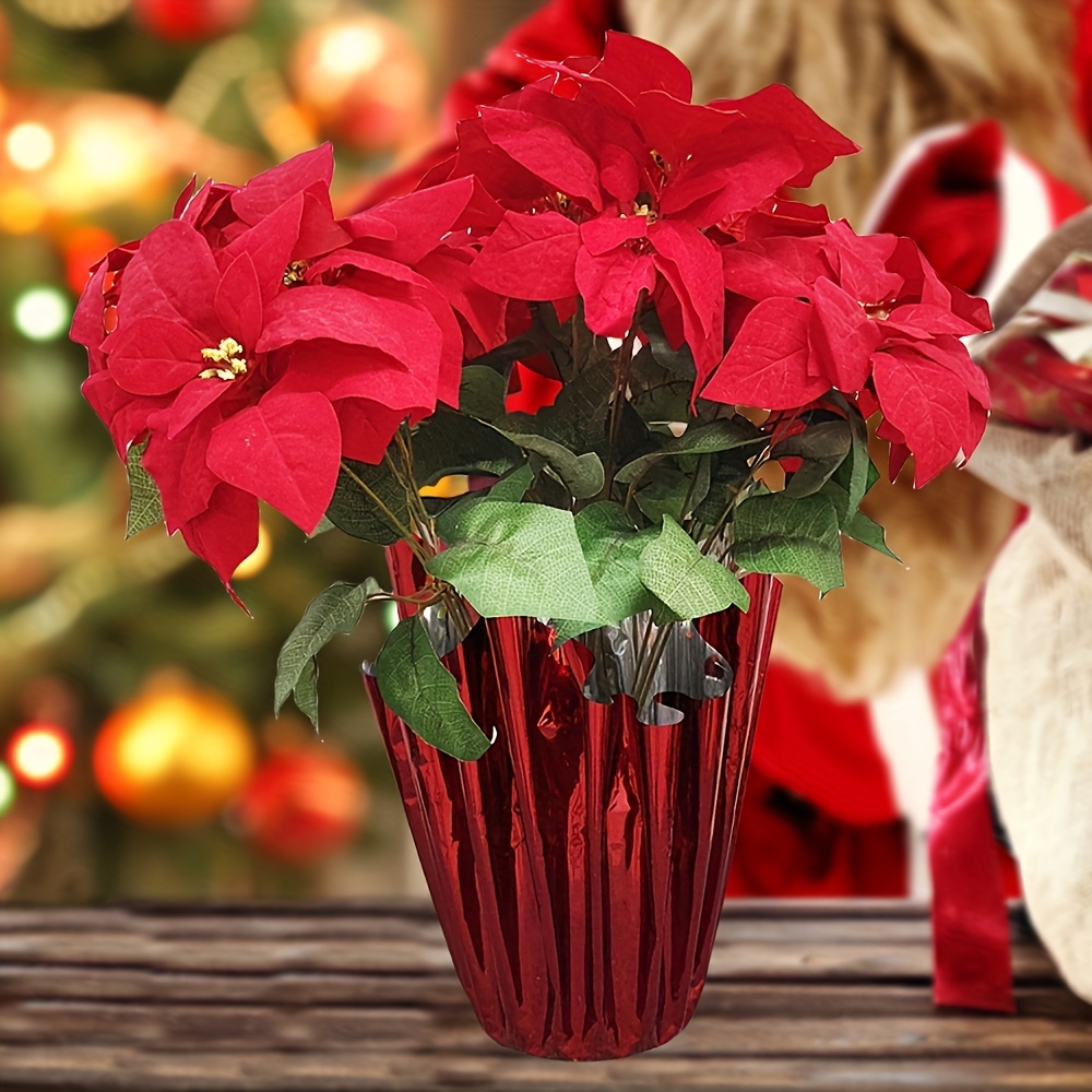 A beautiful red flower for deals christmas