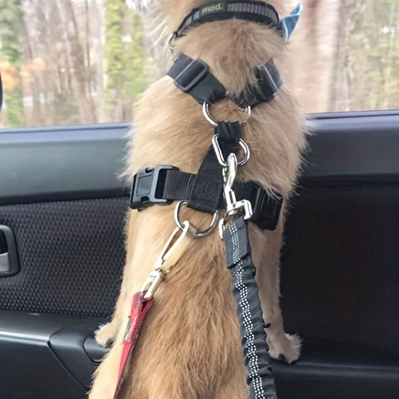 Ceinture de siège de sécurité voiture pour chien Voyage Laisse