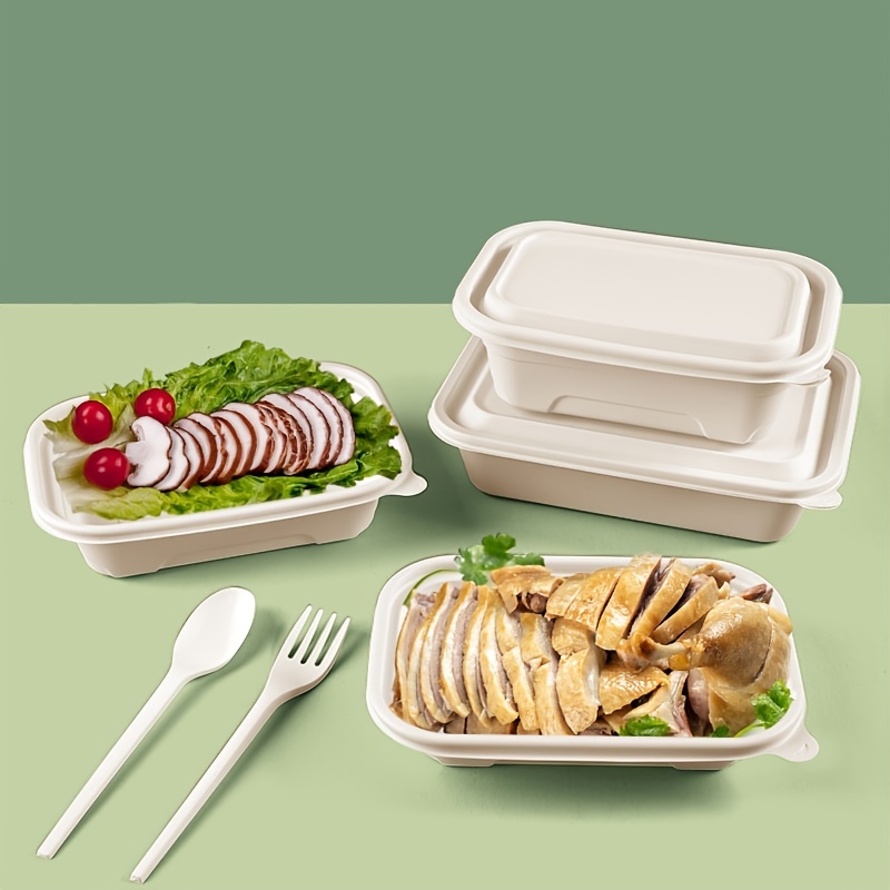 eco friendly disposable lunch boxes