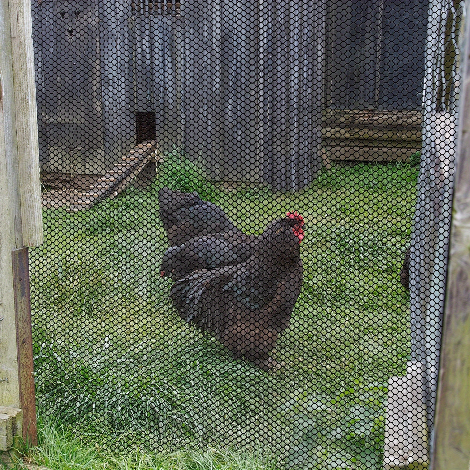 Plastic Chicken Wire Mesh Plastic Fencing Roll Garden - Temu Canada