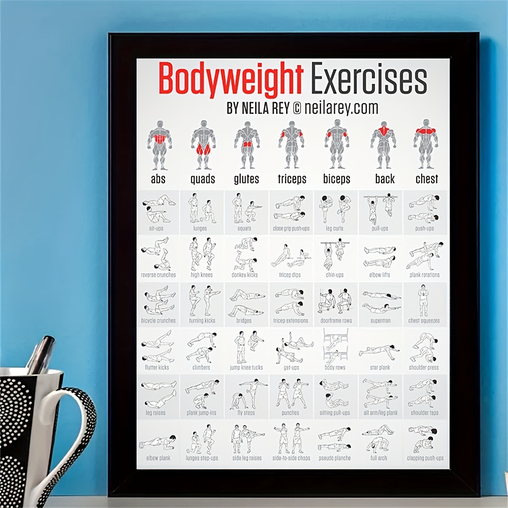 Weight Training Back Muscles Poster Body Building Exercise Chart