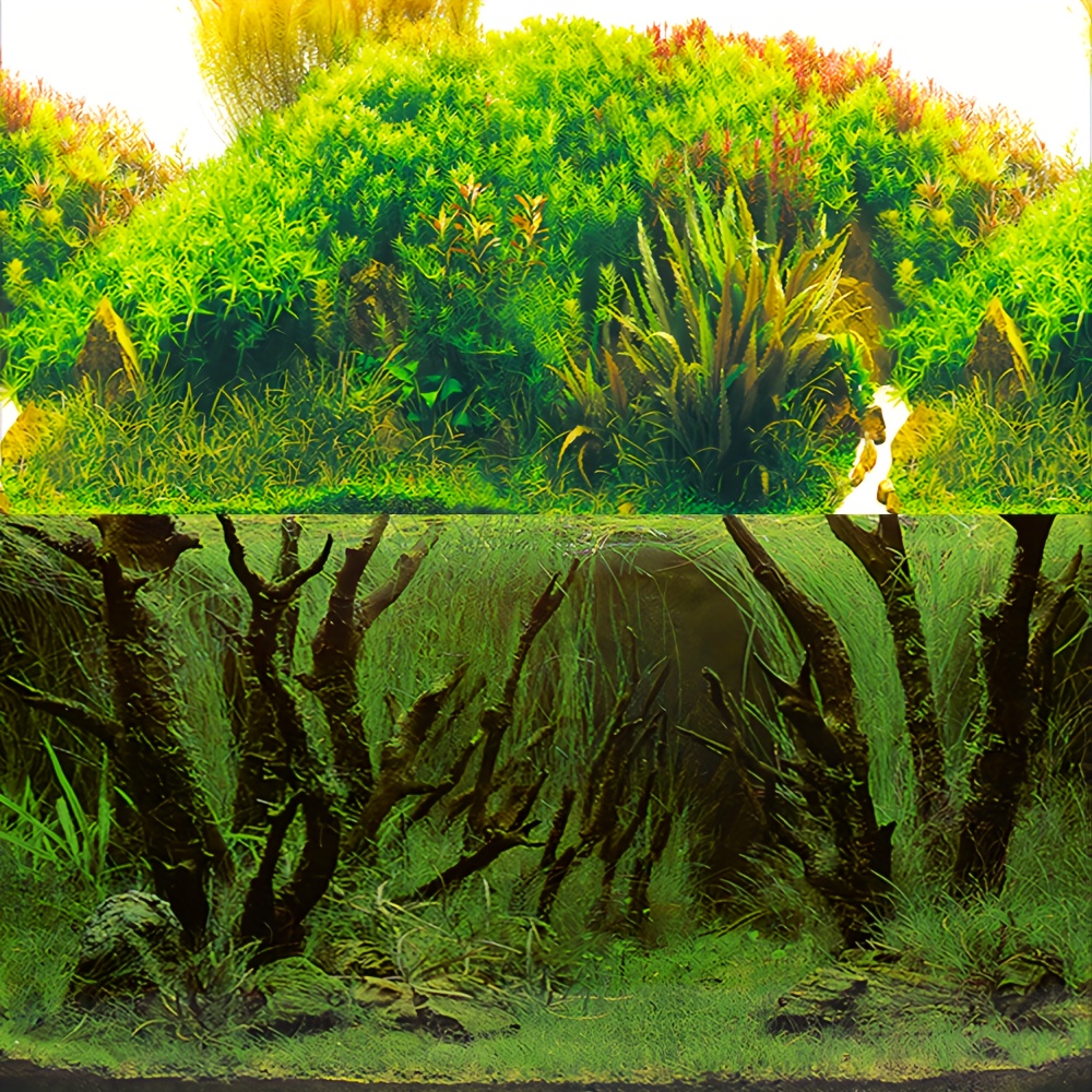 Aquarium Poster Tree Root Underwater Forest Fish Tank Background Aquatic  Plants Picture Decoration - Pet Supplies - Temu