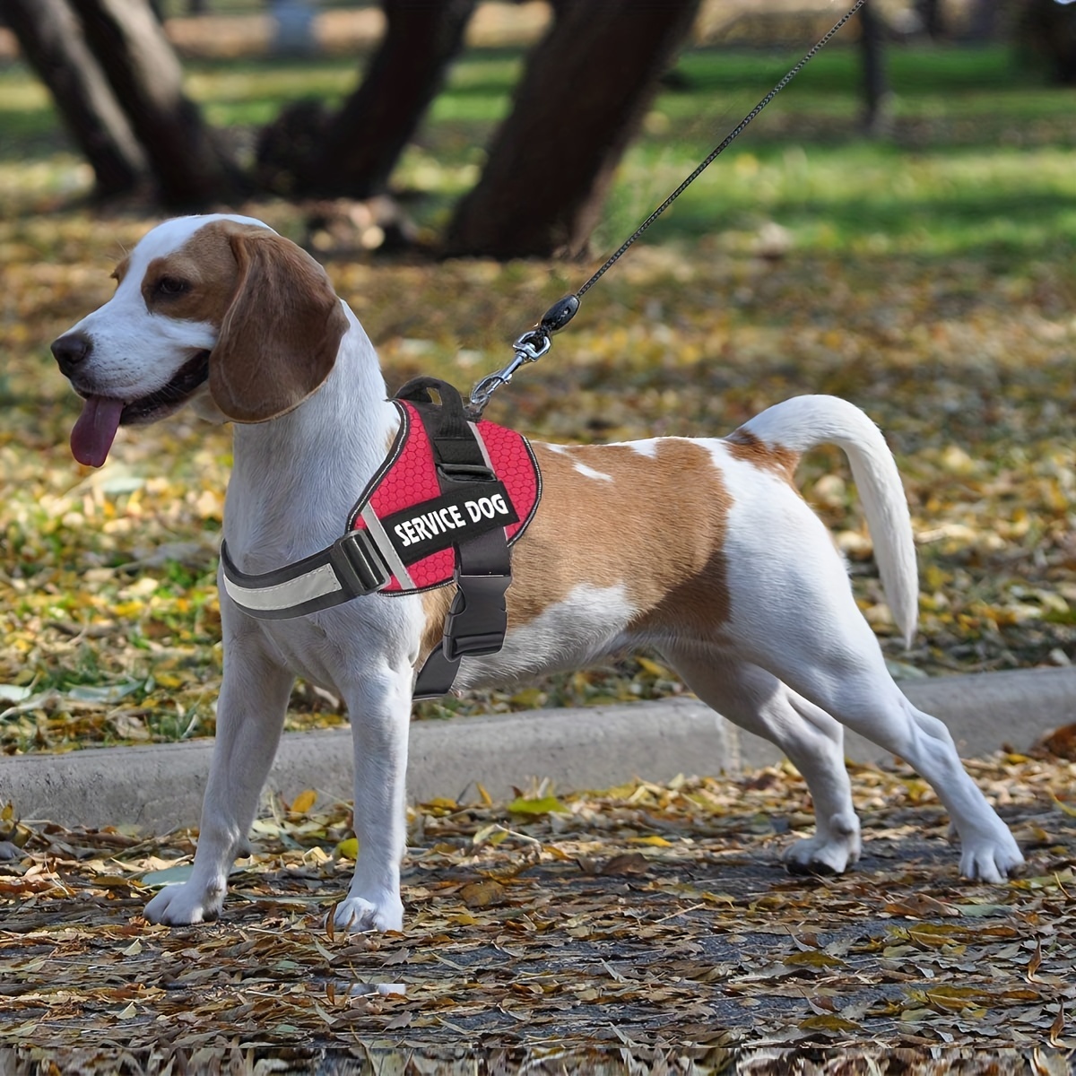 Harnais Chien Rglable Gilet Chien Avec Poigne Contrle Harnais Rflchissant  Matriau Respirante Durable Couleur Noir Taille Xl