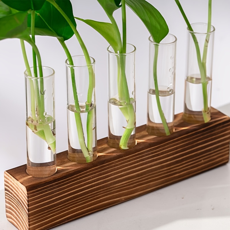 Plant Propagation Collection  Tests Tubes, Stands, Flasks