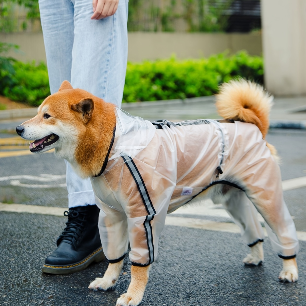 medium dog raincoat