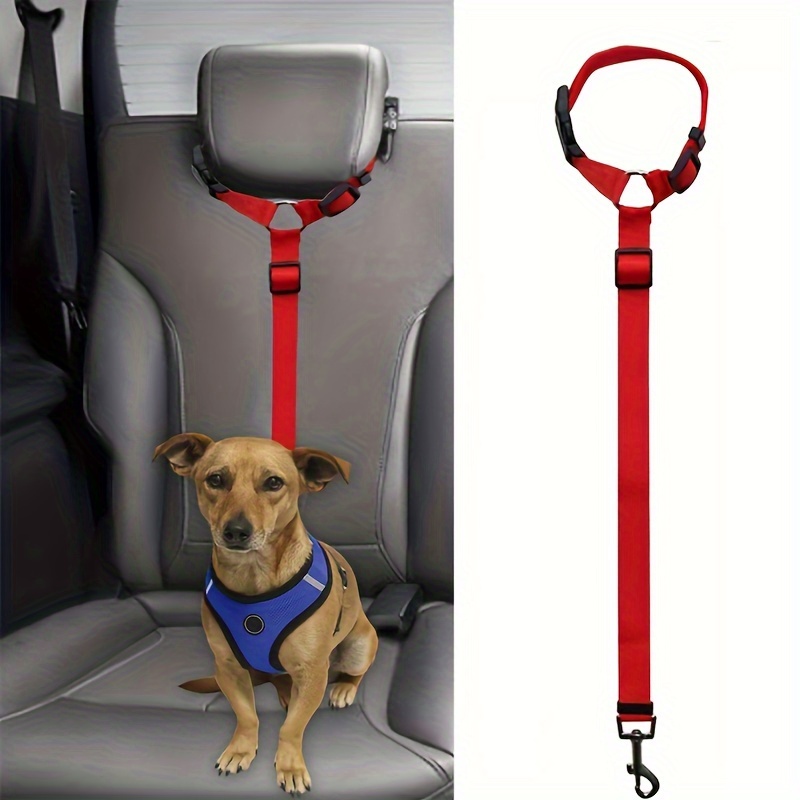 Dog shop safety belts