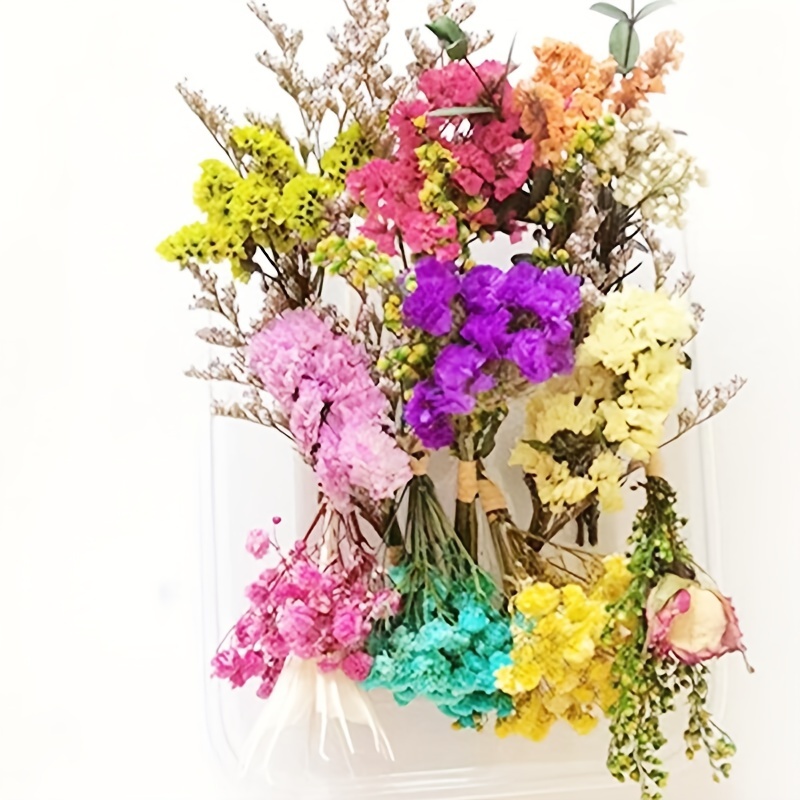 VAIPI 10 Pack Dried Flower Forget Me Not Bouquets Natural Dried Flower with Stem Dried Embossing Flower Bundles Artificial Flower Dried Floral Arrange