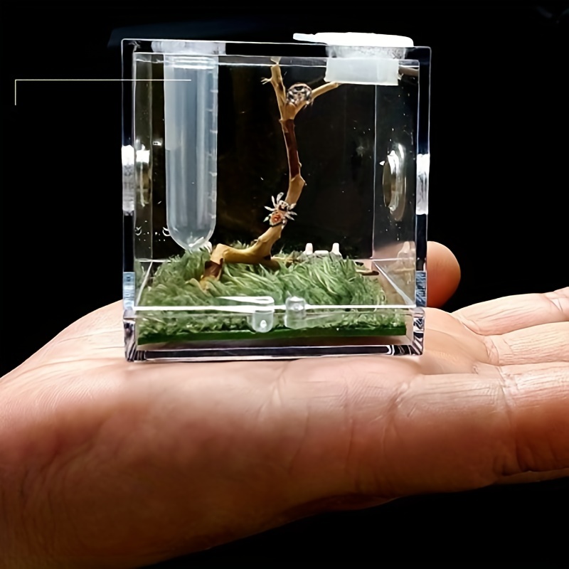 Jumping Spider Breeding Box Landscape Case Enclosure Accessories