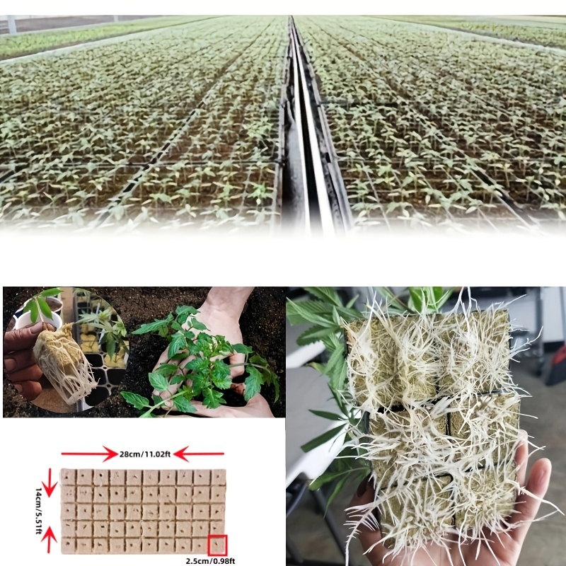 Mini Rock Wool Cubes Ideal For Plant Propagation Soilless - Temu