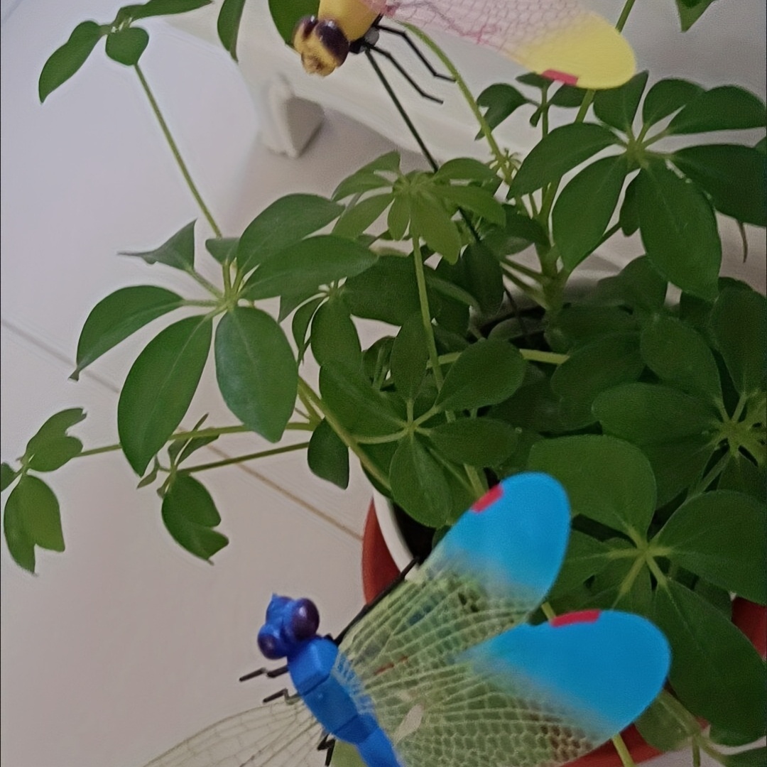 4 Farben 14 Cm Dreidimensionale Simulation Libelle - Temu Austria