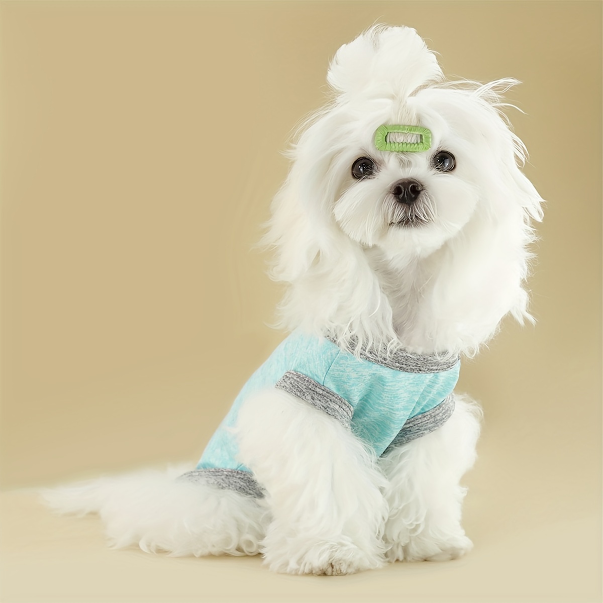 Dog shirts clearance for small dogs