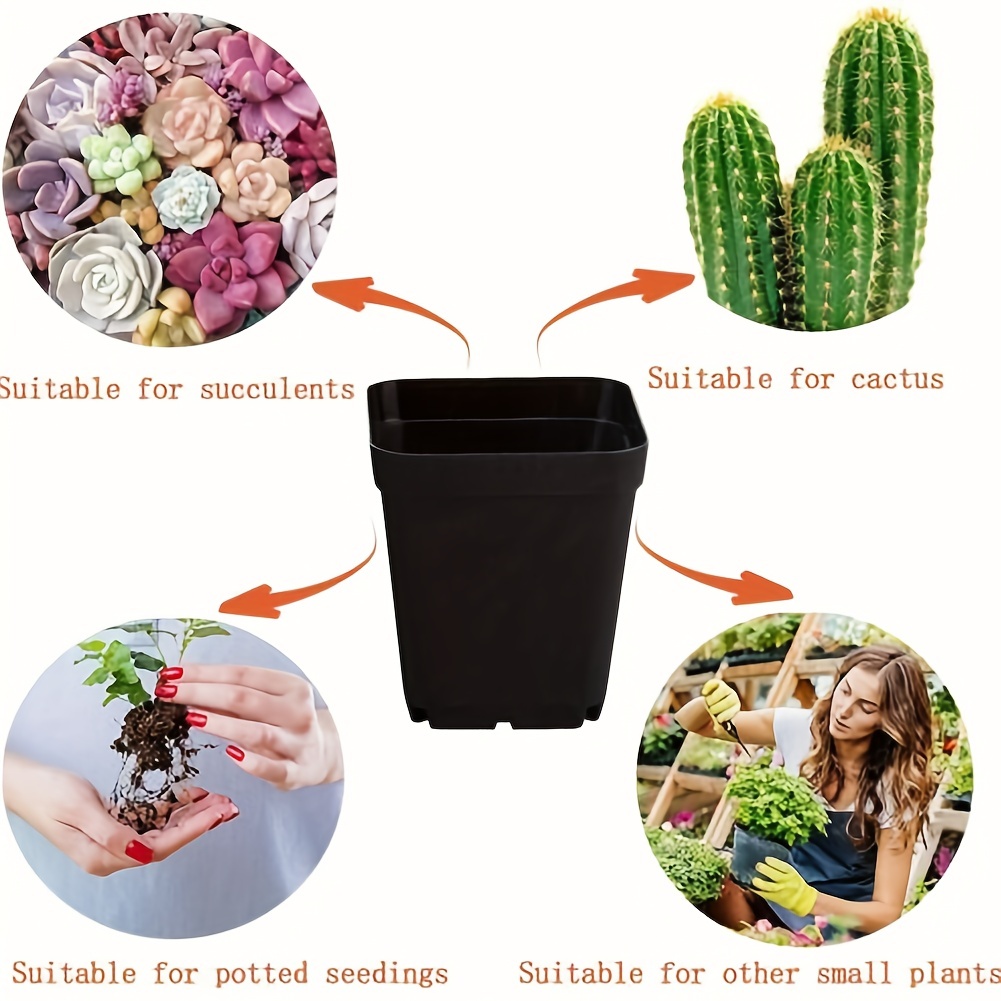 1pc Mini coloré en plastique plante Pot de fleur planteur - Temu
