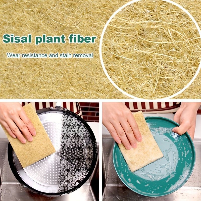 Esponja Biodegradable para fregar platos de cocina, estropajo de pulpa de  madera de coco, depurador de