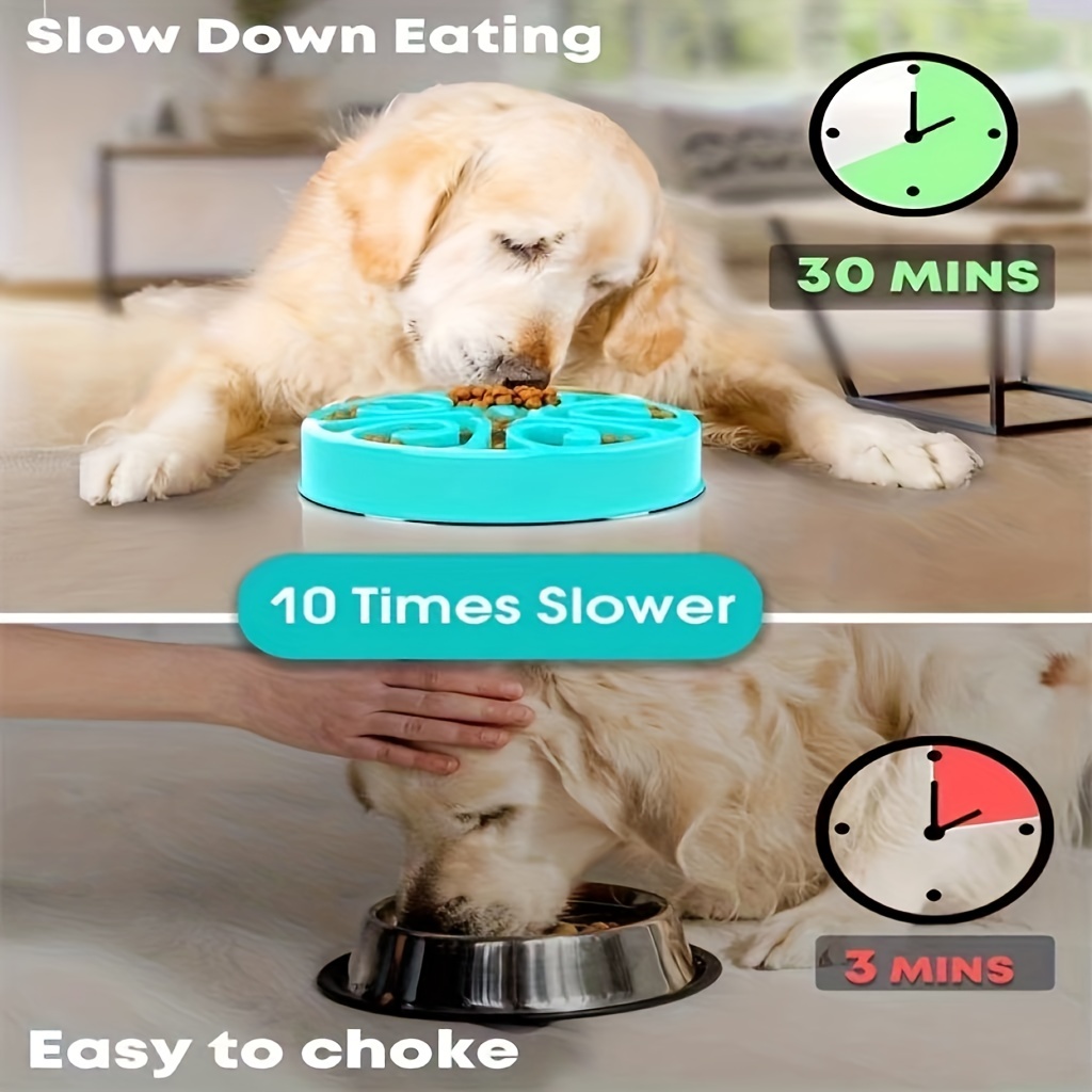 Small Dog Slow Feeder Bowl - Promotes Healthy Eating Habits And Reduces  Bloating - Temu