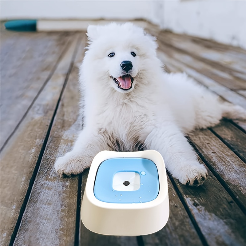 Best No Spill Dog Water Bowls: Splash-Proof Options For Messy Dogs