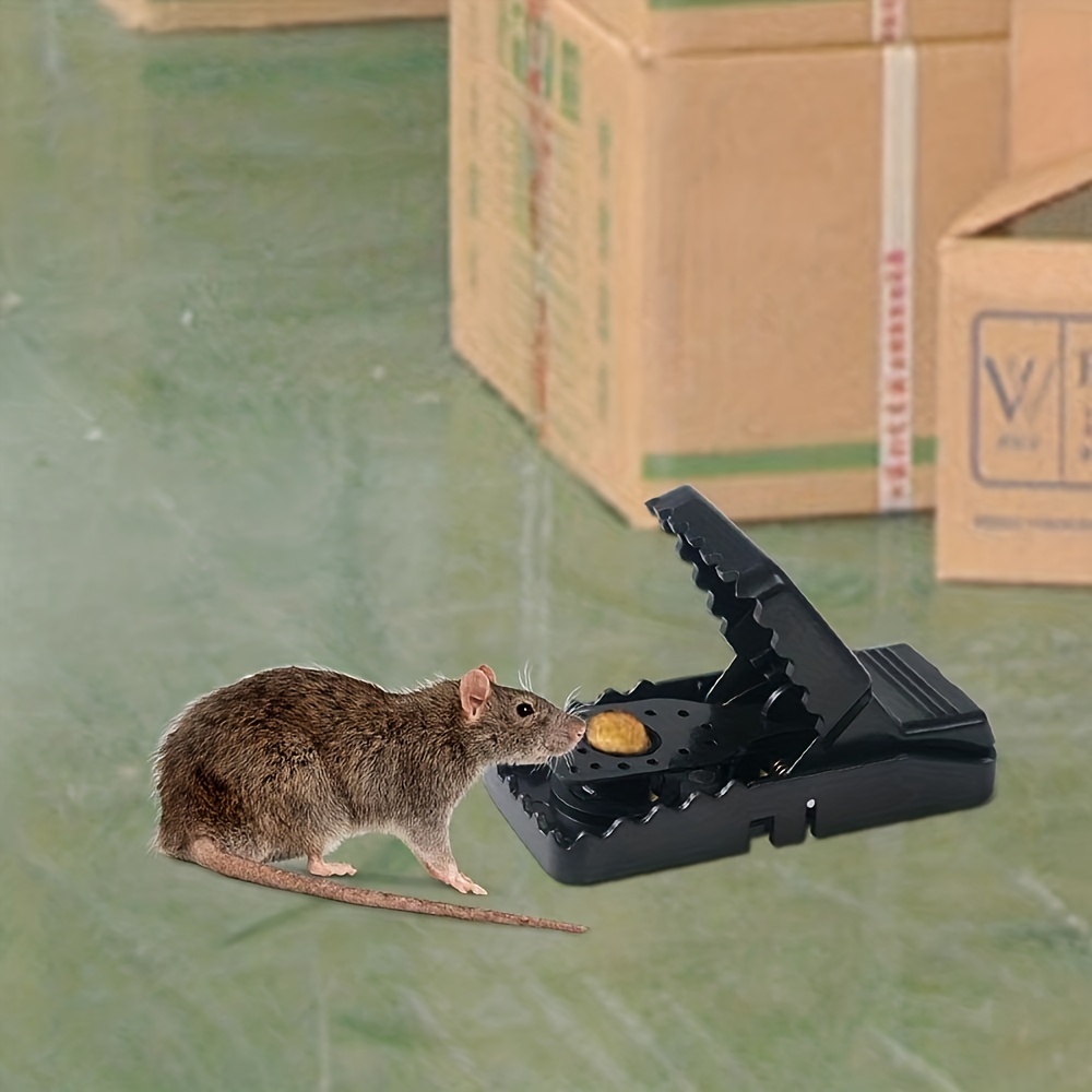 Mouse Trap Mouse Traps Indoor Mouse Traps For House Instant Mice