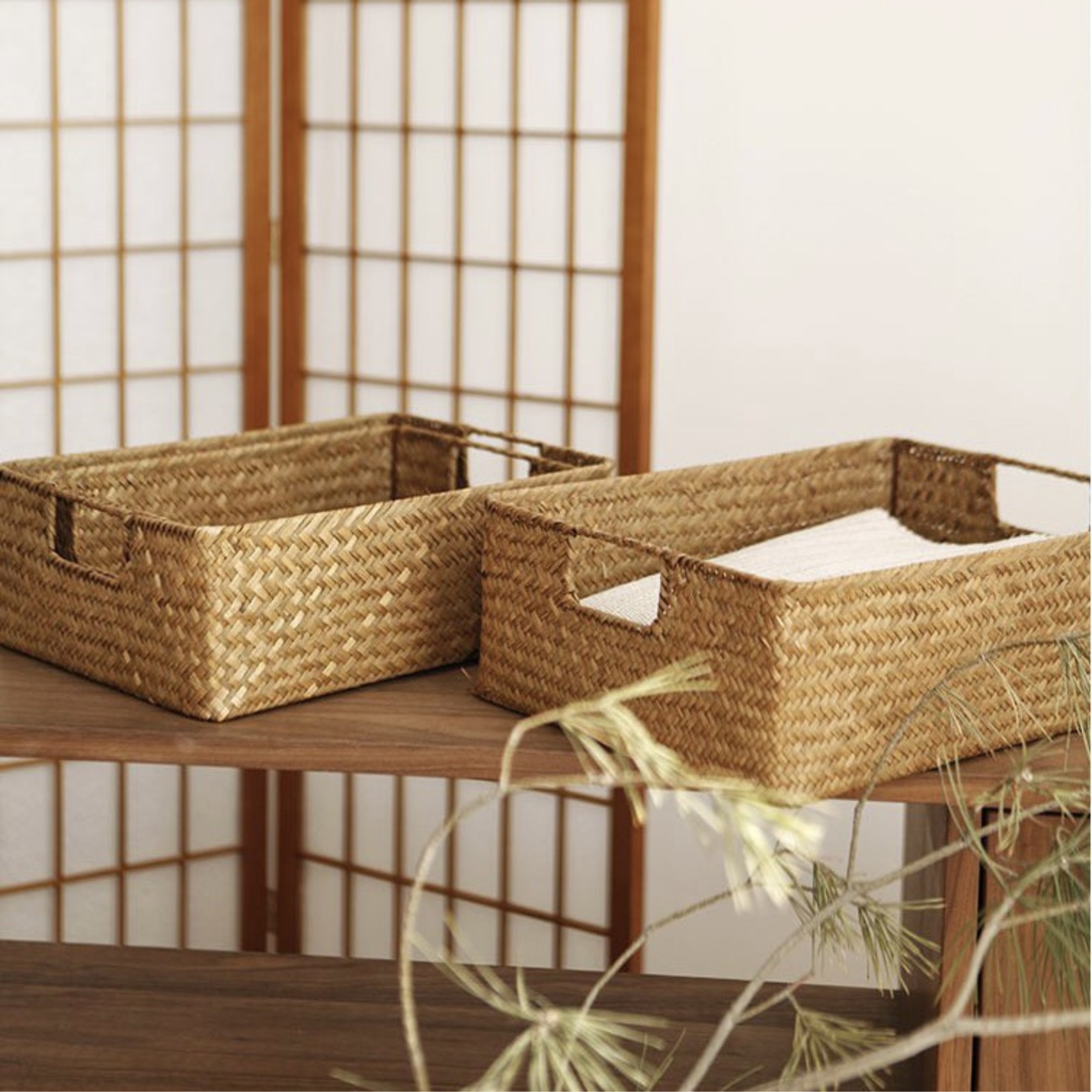 Holiday Living Baskets & Storage Containers at