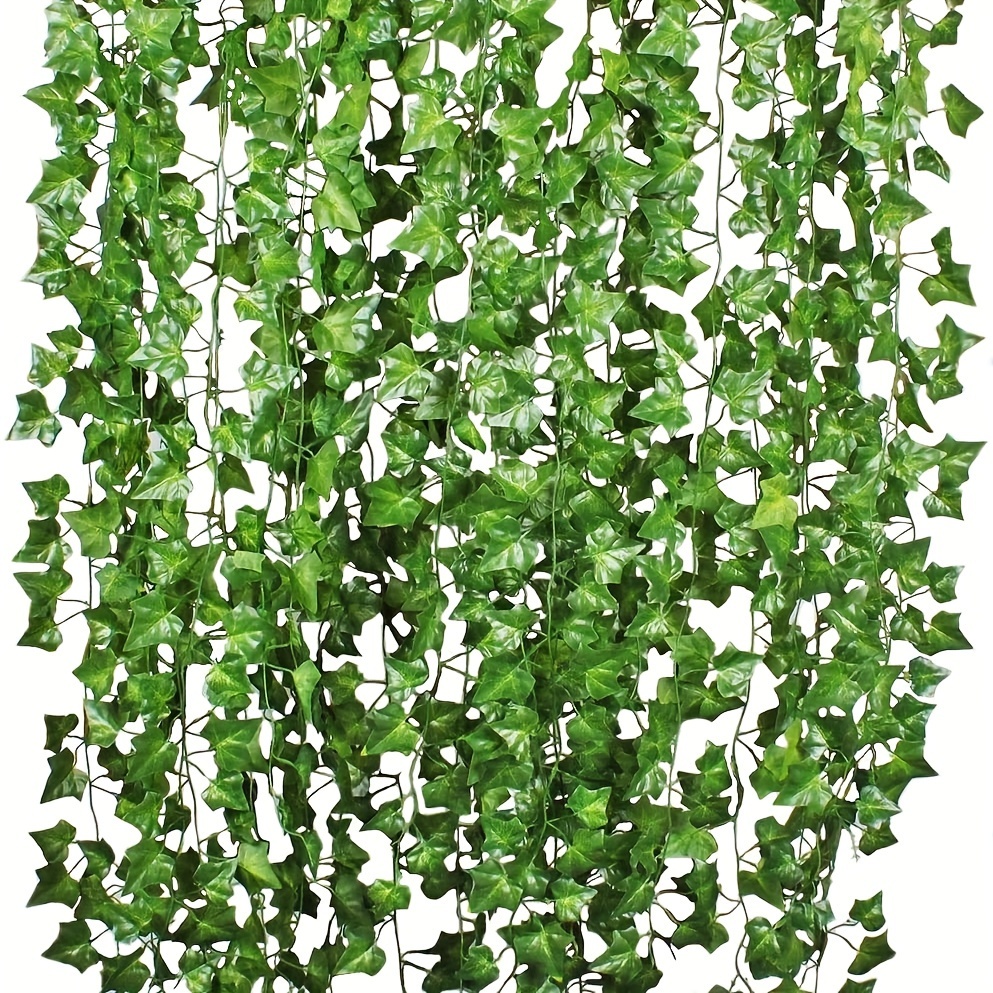 Green Ivy Vine 