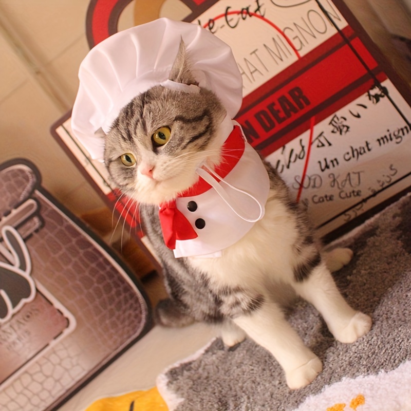 Cute cat in the hat clearance costume