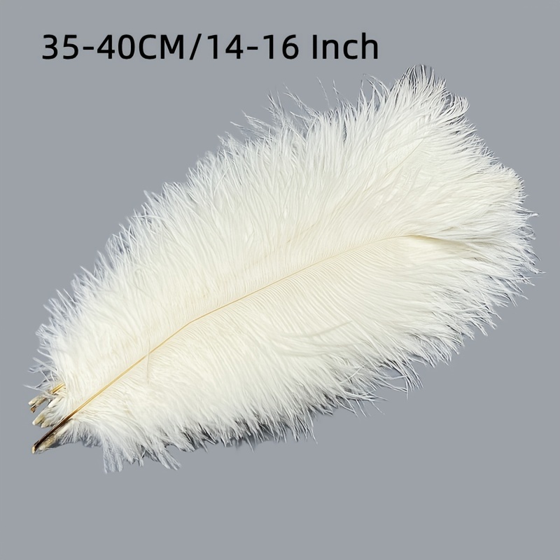 Ostrich Plumes 14-16