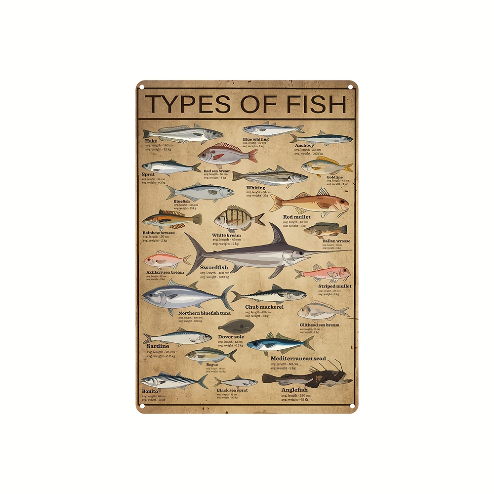 Fish Signs - Temu Canada