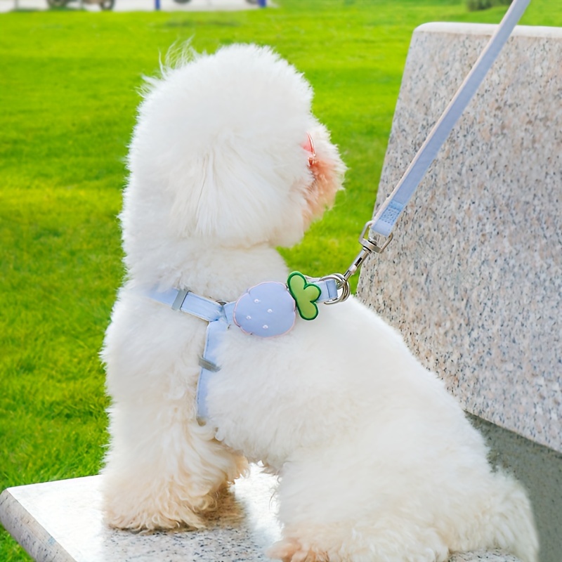 Strawberry Dog Harness & Leash Set