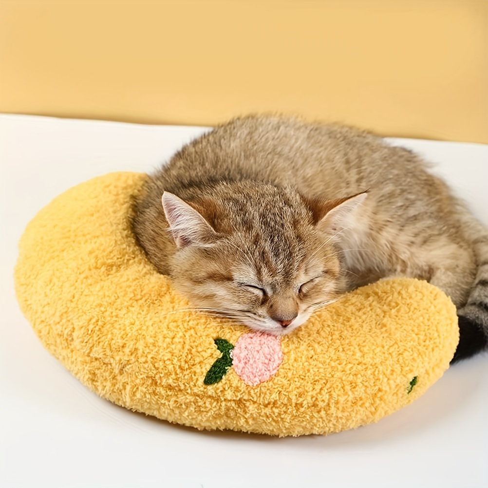 Cat on pillow cheap