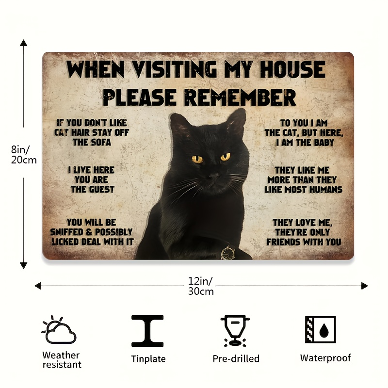 Tips for domestic cat therians! Remember, I'm not a domestic cat theri