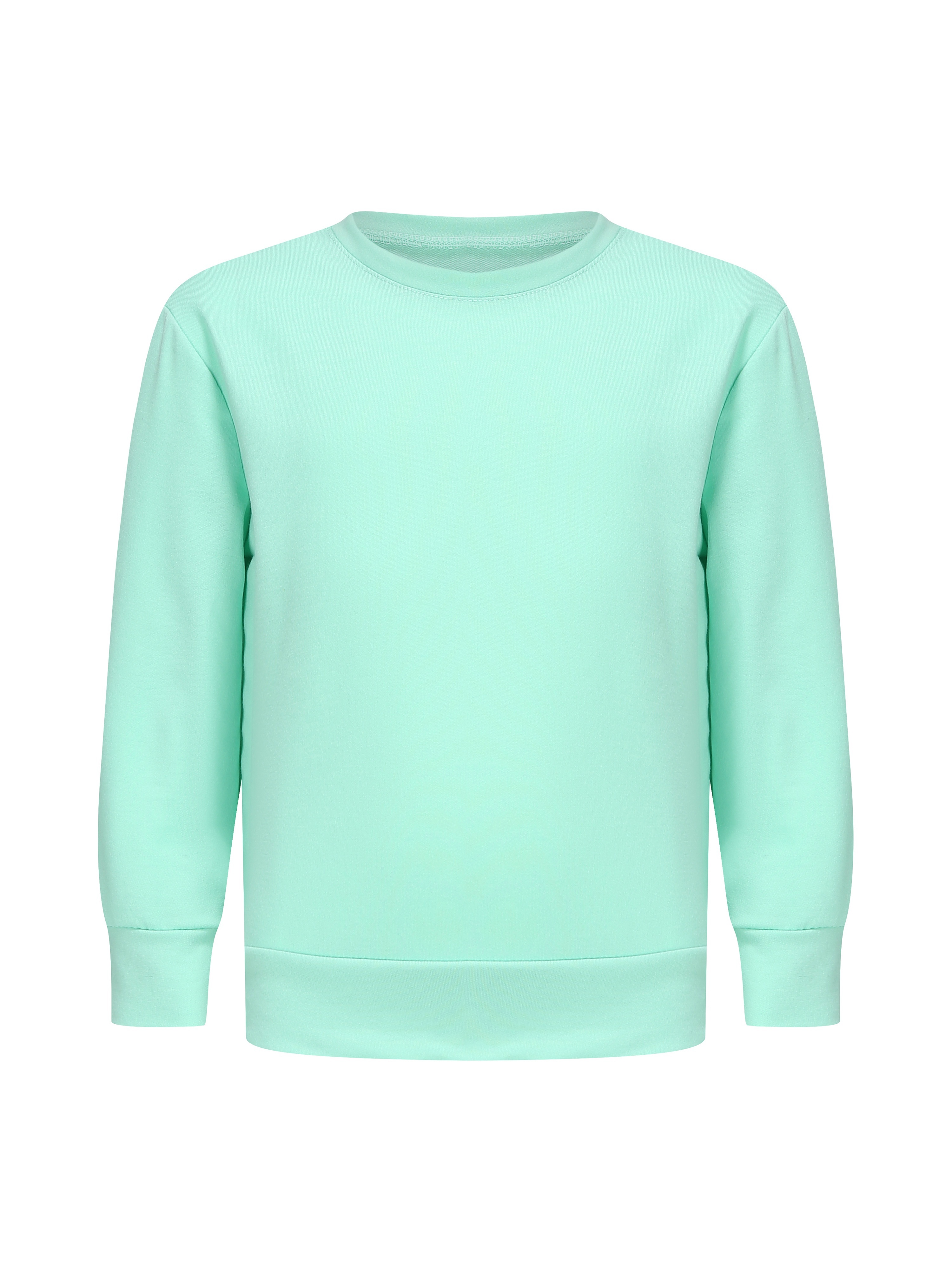 Cozy Crew Neck Sweater – Mint