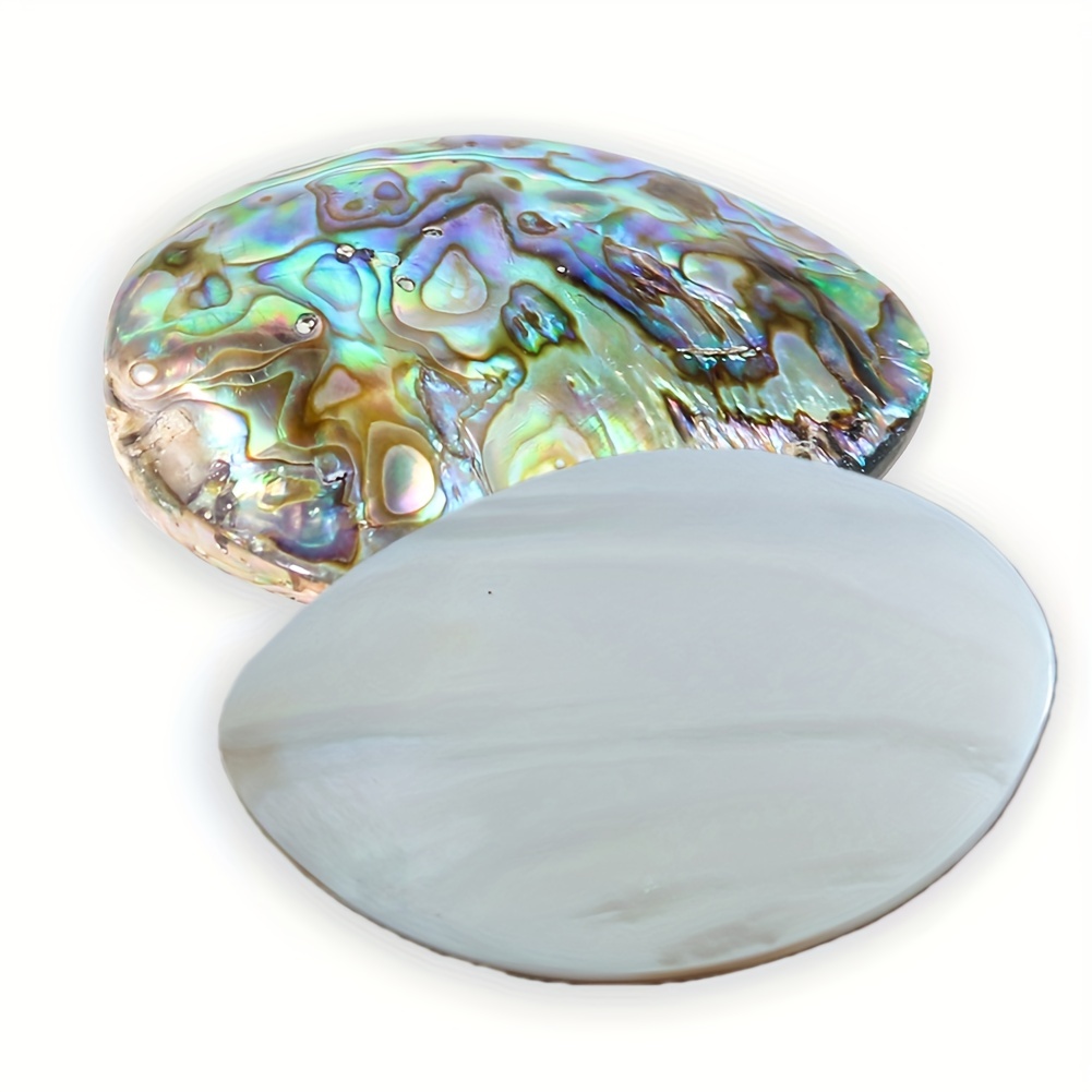 mother-of-pearl shells for decoration and crafts