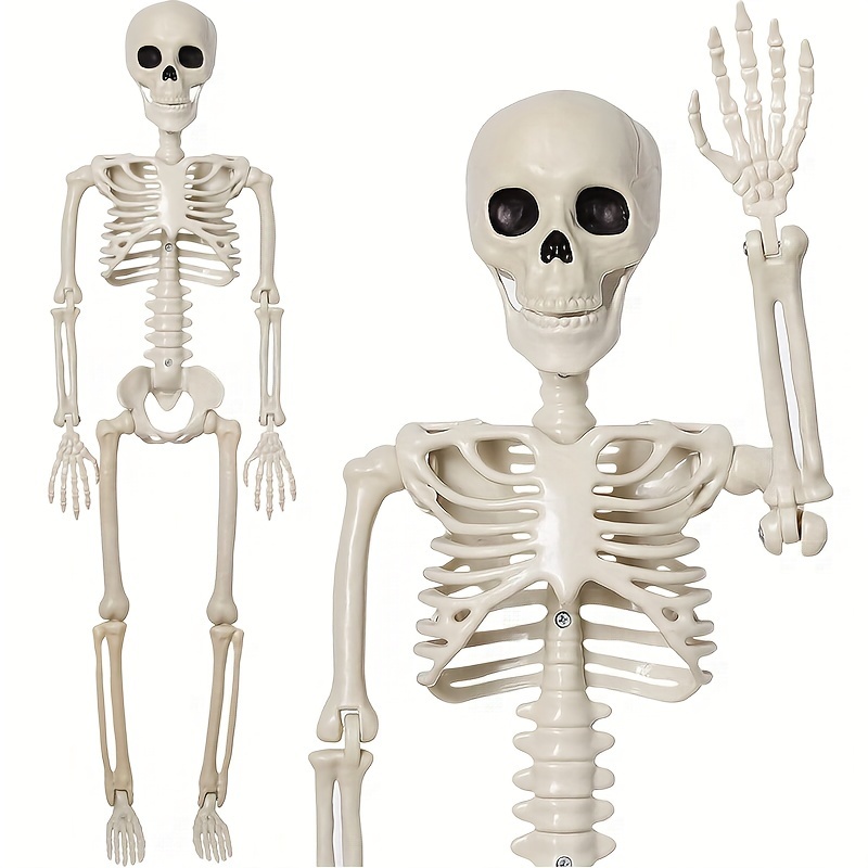40/90cm 1pc Schädel Skelett Halloween Dekoration Simulation - Temu Germany