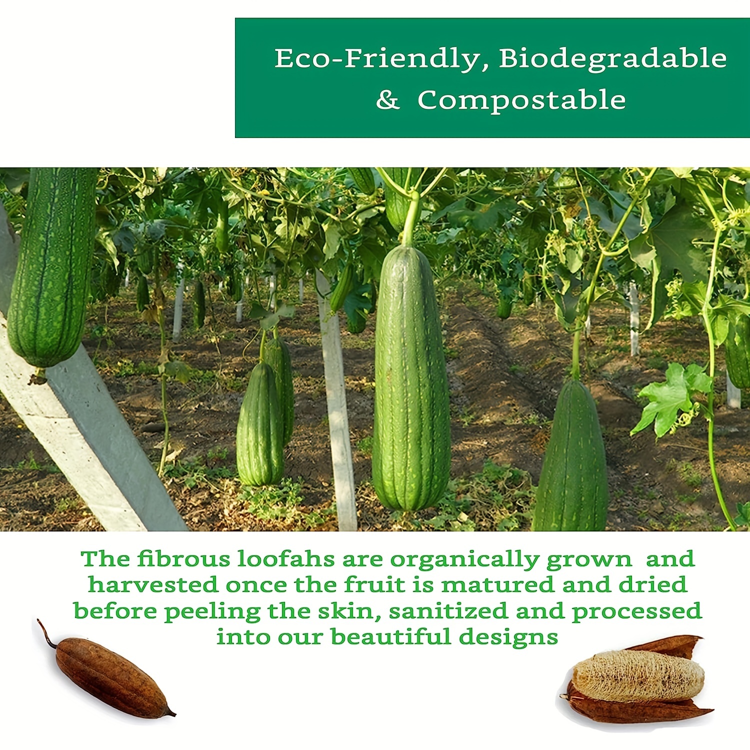 1/2/4pcs Exfoliating Body Scrubber Loofah Sponge, Suitable For Bathing, Showering, Spa Facial Cleansing,  Handheld Luffa Pad Sponges Exfoliator Pad For Women And Men