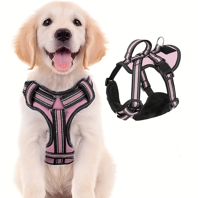 Double leash hotsell for large dogs