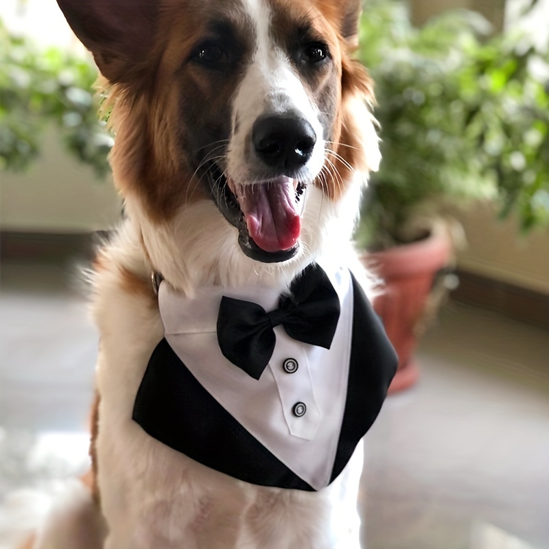 Formal Dog Tuxedo Bandana With Bow Tie Perfect For Weddings Graduations And  Dress Up Adjustable Neckerchief For Small Medium And Large Dogs And Cats -  Pet Supplies - Temu