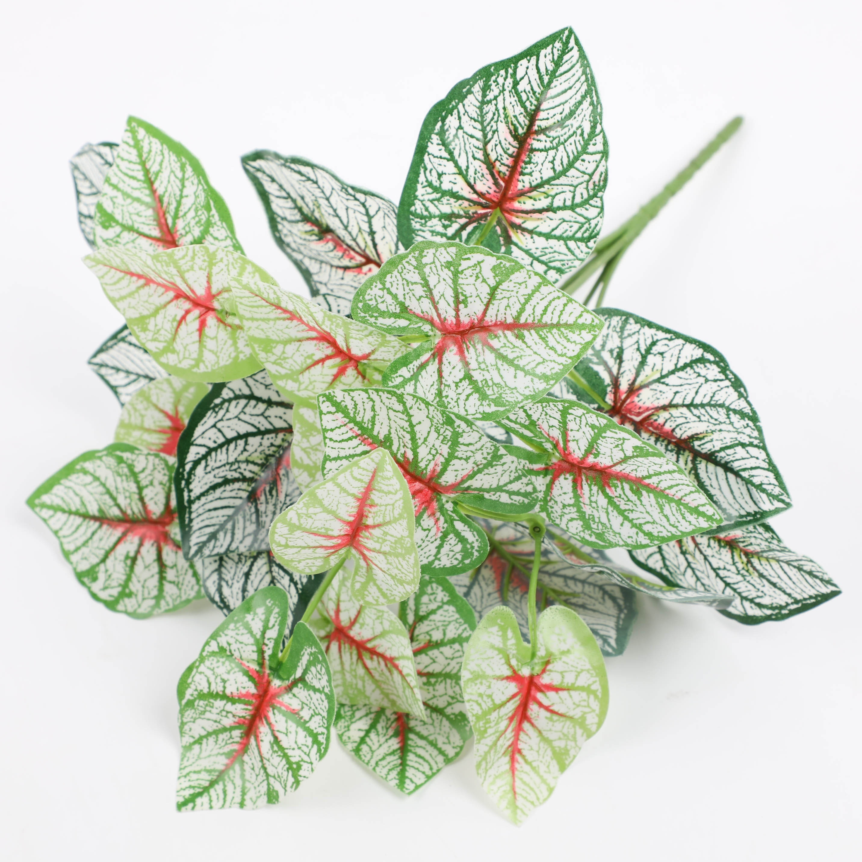 Fbe1e3a147f7e0ec61e81fefef904343 Fbe1e3a147f7e0ec61e81fefef904343