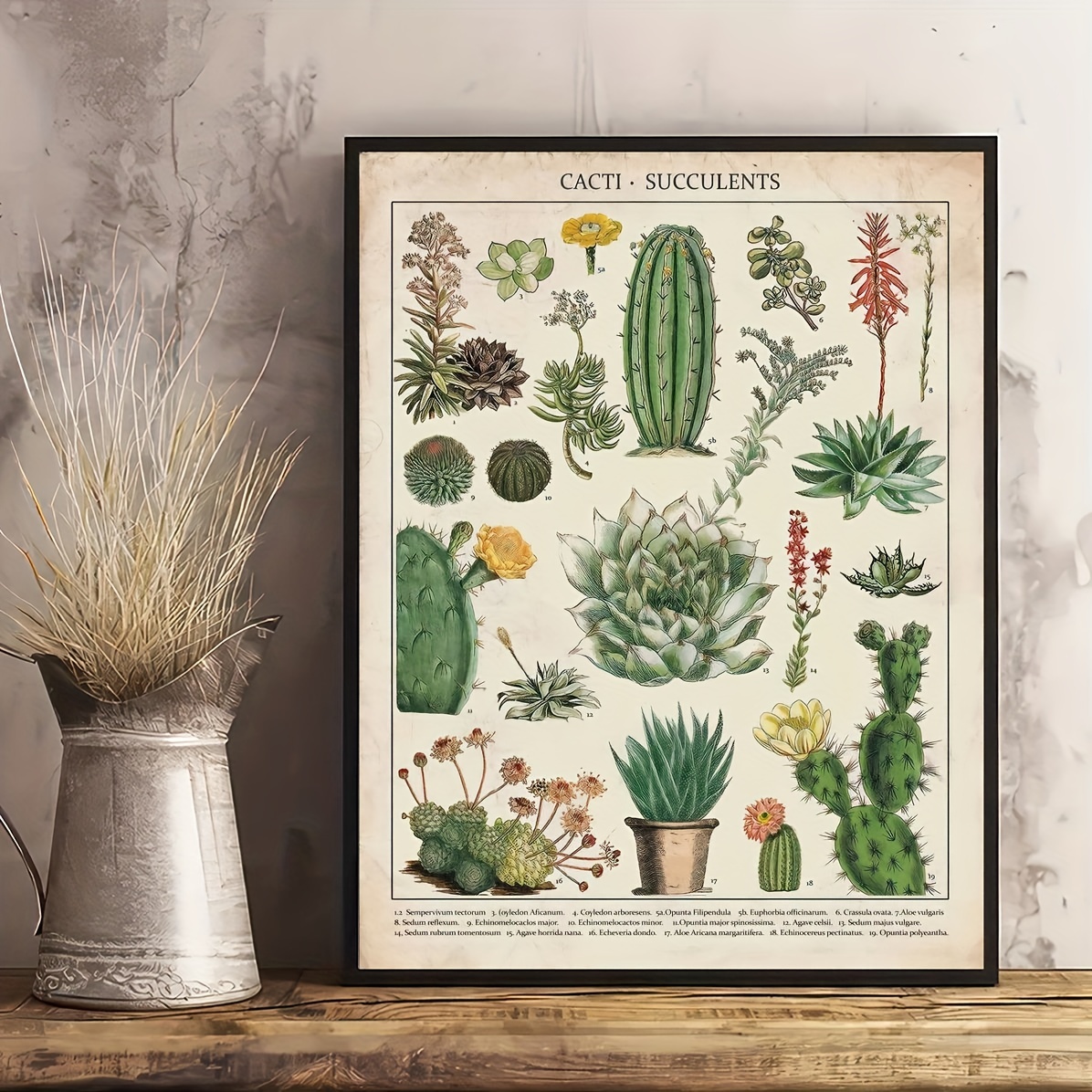 set of cacti, aloe and leaves. Decorative natural elements. Cactus with  flowers. botanical illustration. No.3 | Poster