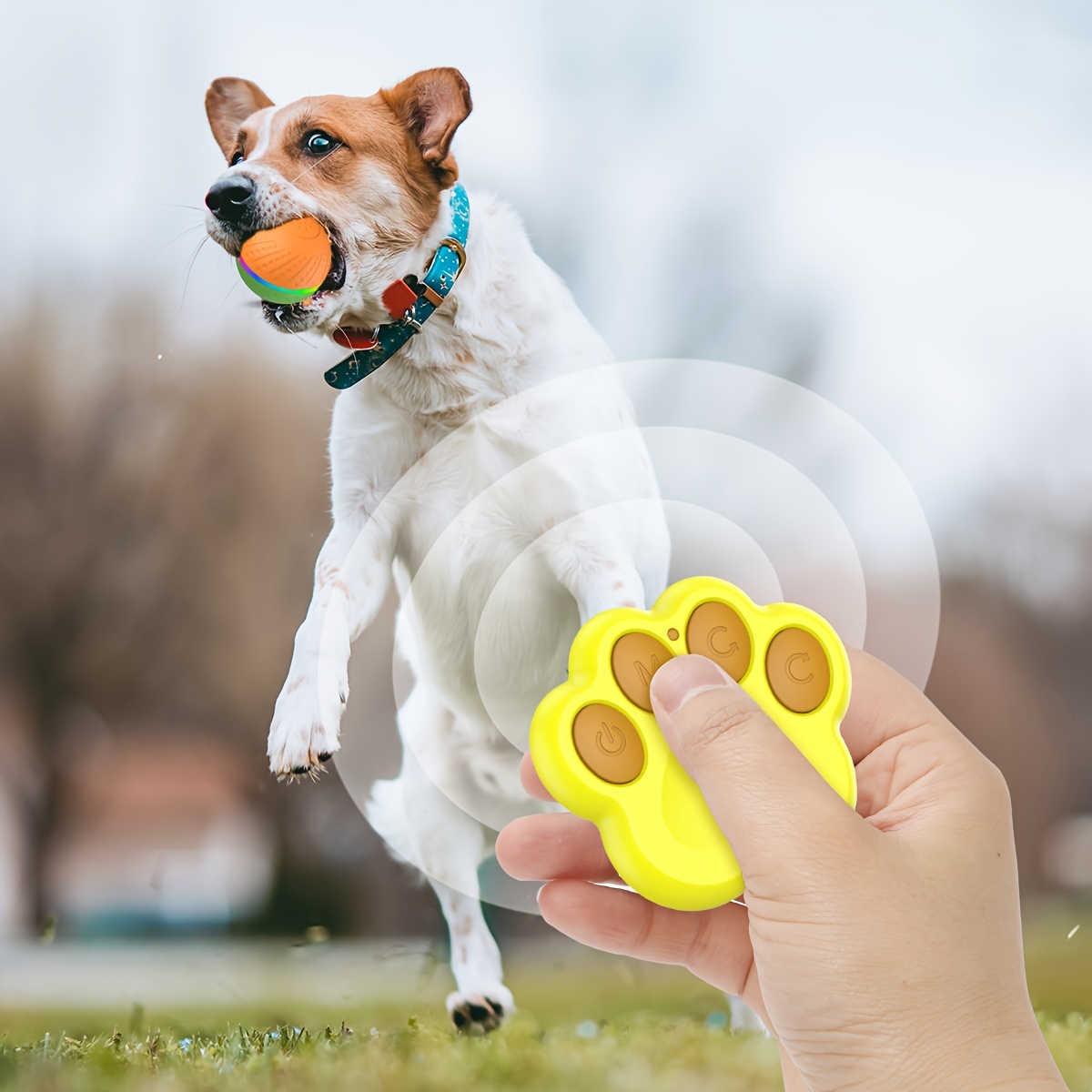2PCS Puppy Dog Toys Chew Toys Interactive Treat Dispensing Puzzle Toy for  Small Dogs Tough Rubber Teething Dog Bones for Puppies - AliExpress