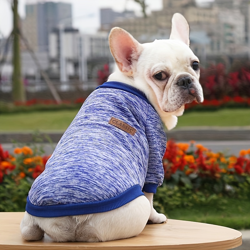 3 legged dog sweater best sale