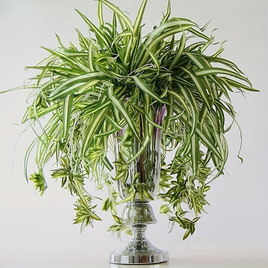 Hanging Spider Plant Silk Foliage Planter