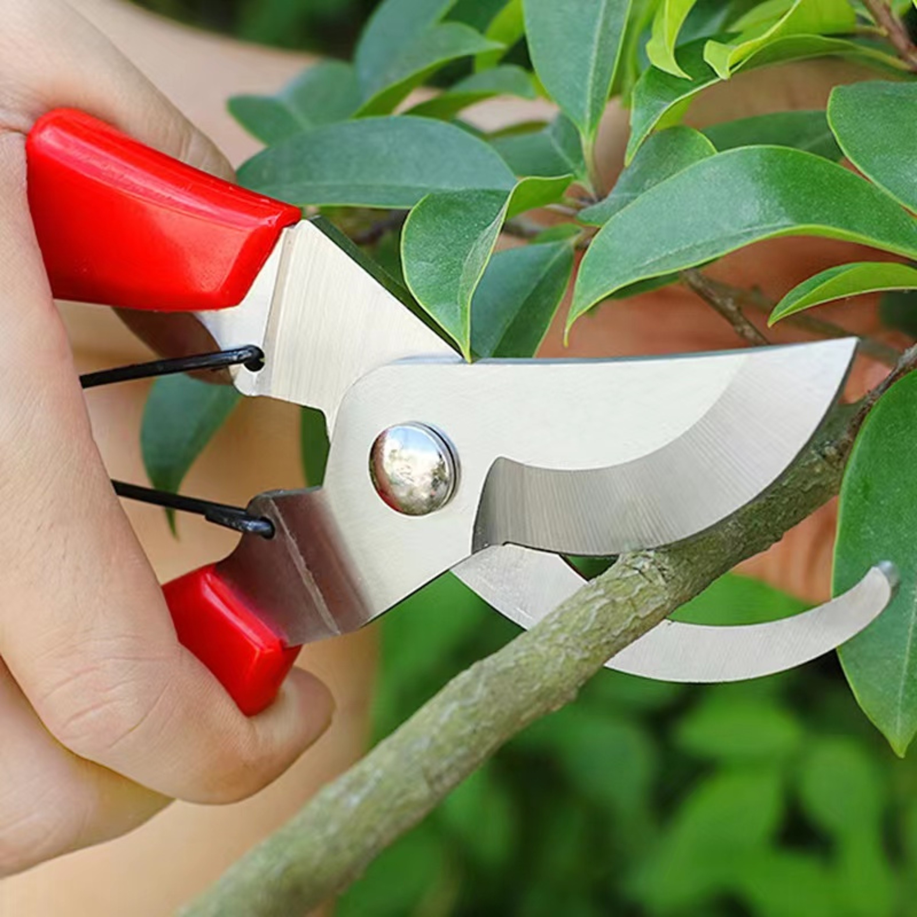 Garden Pruning Shears Branch Scissors Stainless Steel Fruit - Temu