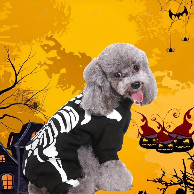 funny girl dog halloween costumes
