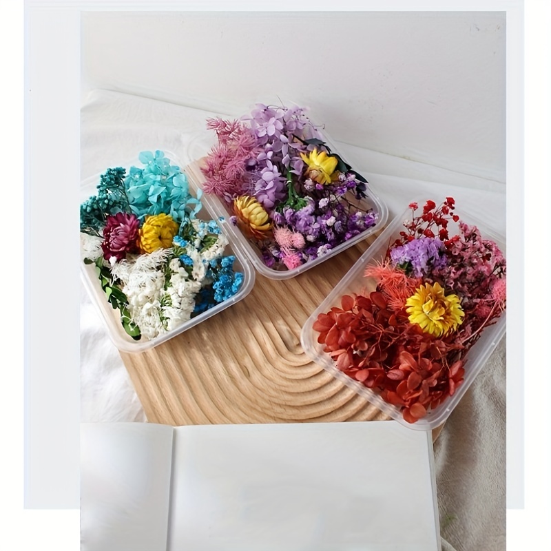 Filling Materials Jewelry Making Resin Filler Dried Flowers Resin