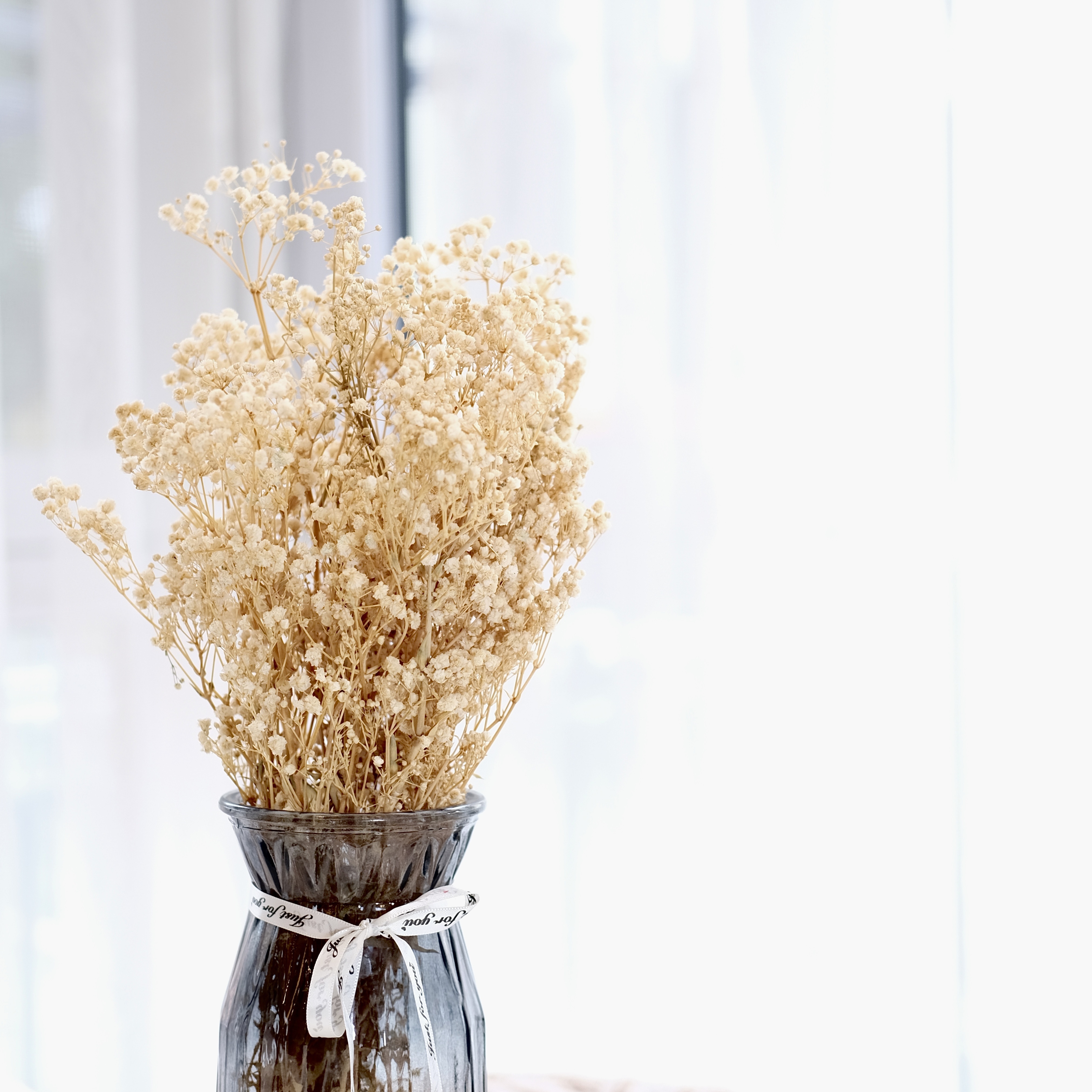 Dried White Flowers Natural Gypsophila Branches For Party - Temu