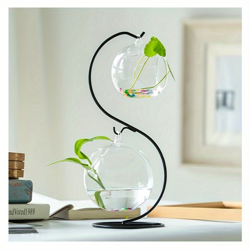 Buy the latest Air Plant Wire Air Plant Decor at great prices