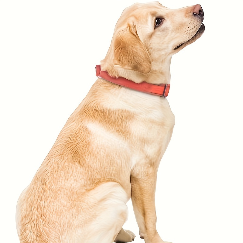 

Safety Training Dog Collar, Heavy Duty Nylon Dog Collar Adjustable Dog Collar