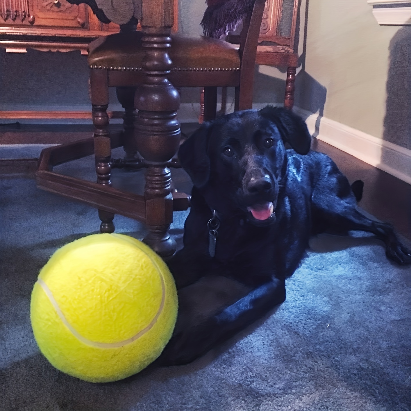 Interactive Pet Toys: Large Dog Tennis Ball For Outdoor Fun - Temu