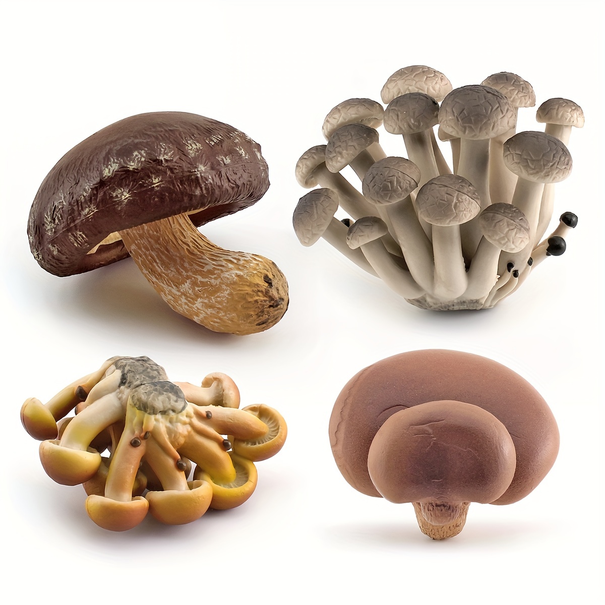 

Simulation Plant Mushroom Model Toys Shiitake Mushrooms, Flat Mushrooms, Sliding Mushrooms, Real Mushrooms, Scenery Ornaments, Props, Play House Kitchen Vegetable Toys La Ferme